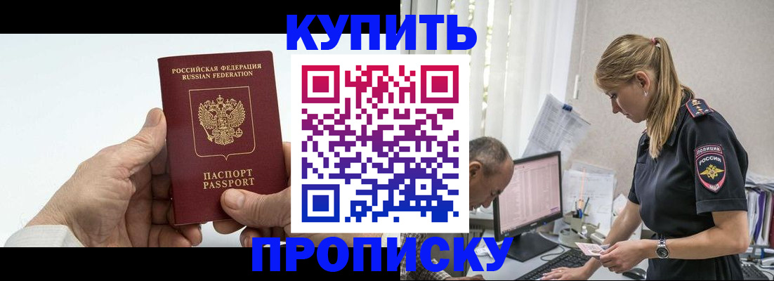 прописка поиск в Тайшете